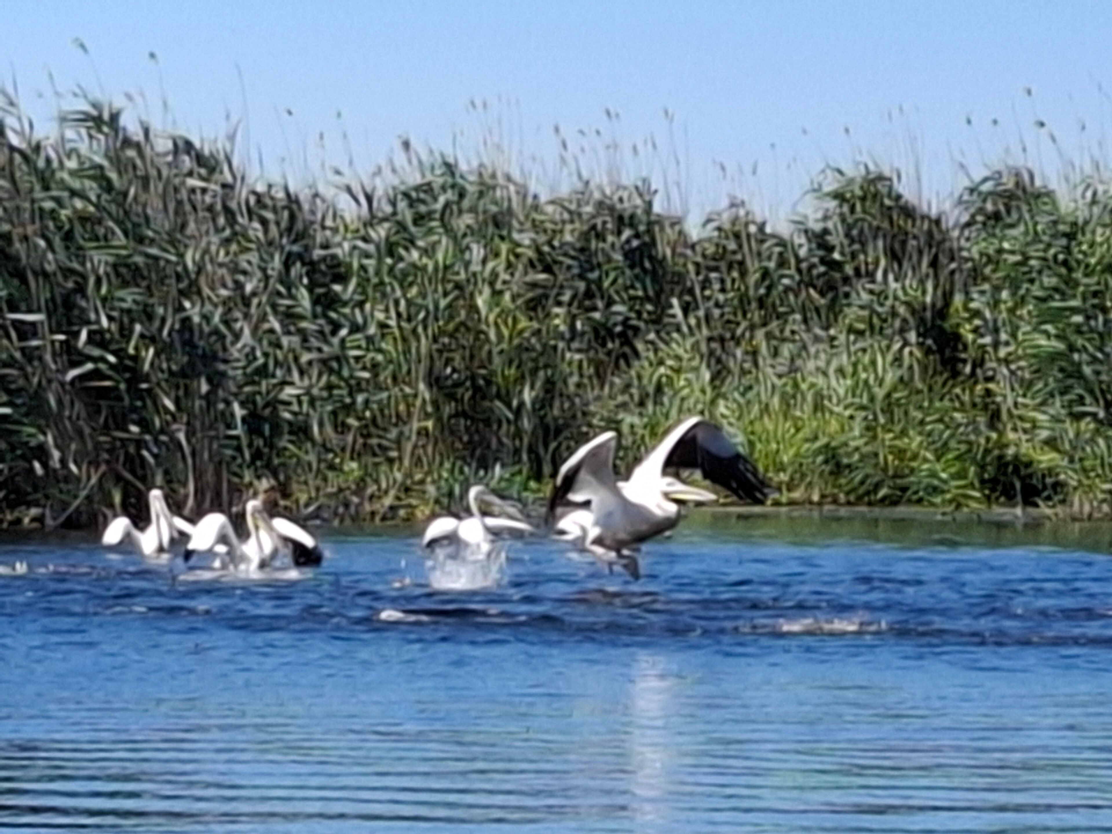 Zimmer, Mehrere Schlafzimmer, barrierefrei, Raucher | Außenbereich