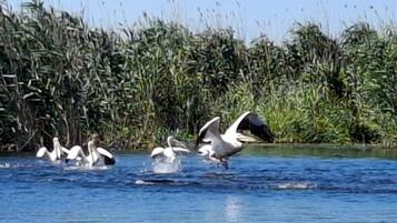 Zimmer, Mehrere Schlafzimmer, barrierefrei, Raucher | Außenbereich