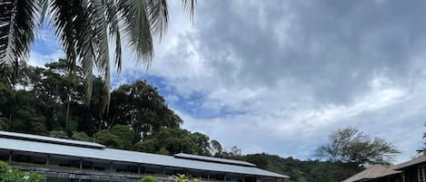 Utomhuspool