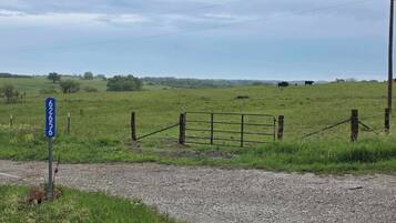 A rural landscape with a gravel path, a metal gate, and a blue sign with numbers.