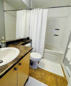 Hair dryer, towels, soap, toilet paper