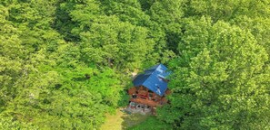 Une cabane entourée d’une forêt dense, offrant une vue dégagée sur la végétation environnante.