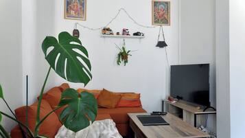 TV