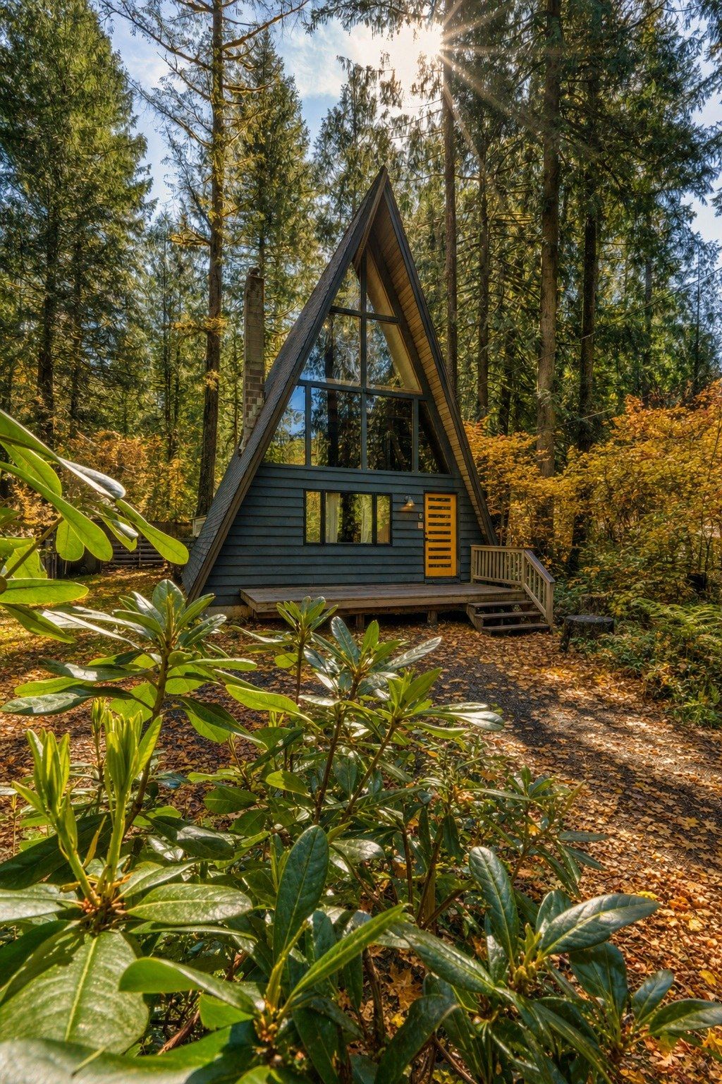 A cabin with a triangular roof, surrounded by dense forest.