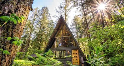 Modern A-Frame - Hot Tub - Forest Escape