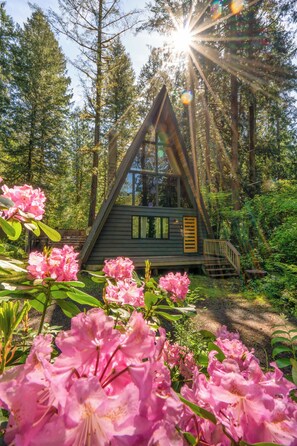 Property grounds - Modern A-Frame - Hot Tub - Forest Escape (Rhododendron)