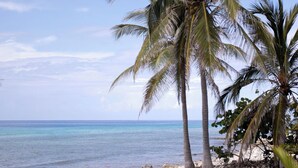 A beach with palm trees and clear blue water. - Casa Solemare Oceanfront Cottage (Stake Bay)