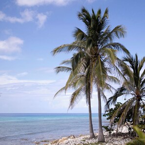 Beach - Casa Solemare Oceanfront Cottage (Stake Bay)