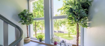 Ground floor M Bright 70m² 2-room apartment near Salzburg