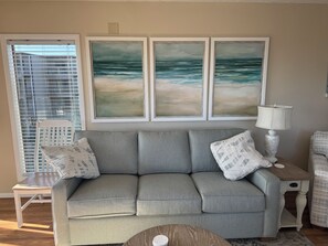 Smart TV, DVD player, books