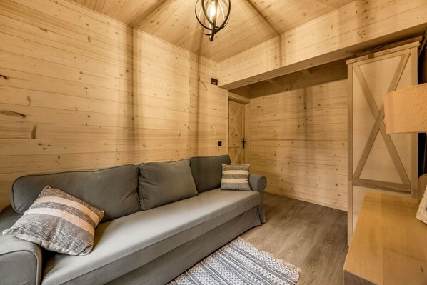 Smart-TV, Kamin
