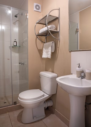 Shower, hair dryer, towels, soap