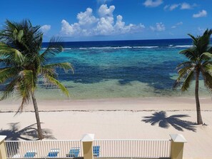 A beach view with clear turquoise water, palm trees, and a sandy shore.