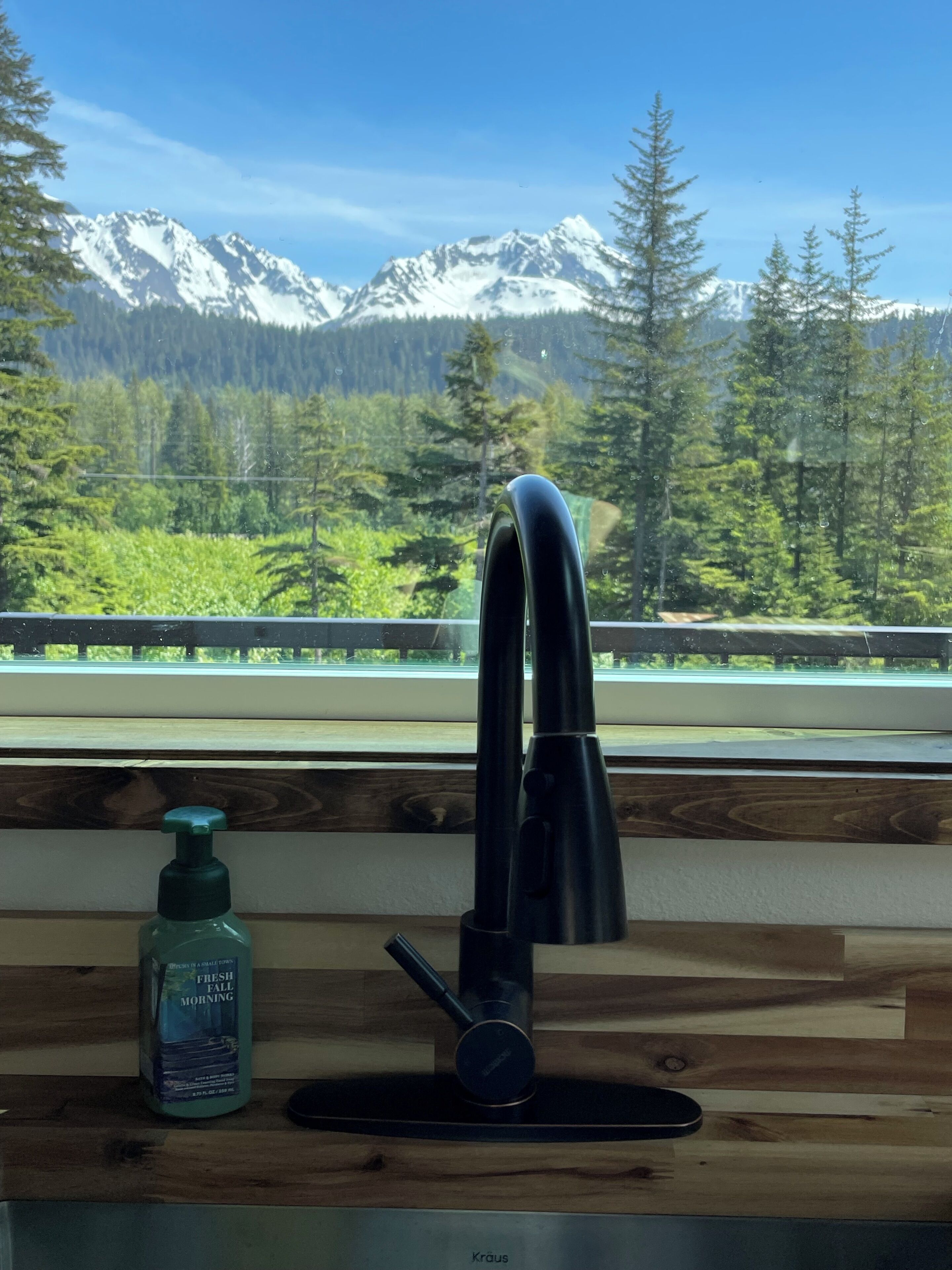 A kitchen with a modern faucet, a bottle of hand soap, and a view of snow-capped mountains through a window.