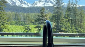 A kitchen with a modern faucet, a bottle of hand soap, and a view of snow-capped mountains through a window. - Charming 2-bedroom in delightful Seward with WiFi. Not kidding friendly (Seward)