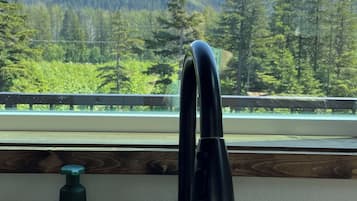 A kitchen with a modern faucet, a bottle of hand soap, and a view of snow-capped mountains through a window.