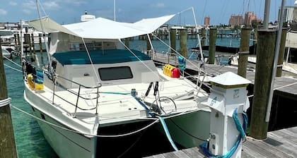 44 foot motor catamaran