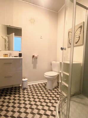 Douche, sĂšche-cheveux, savon, papier toilette