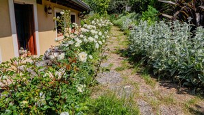 A garden with white flowering plants, a stone pathway, and a building with a yellow facade.
