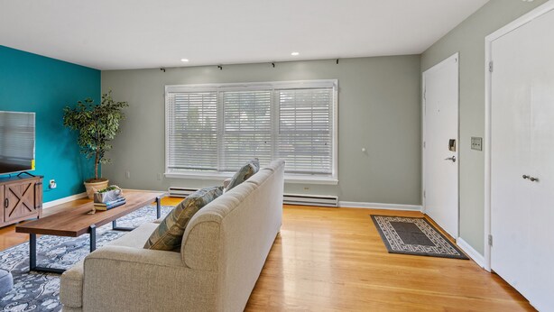 A living room with a sofa, a coffee table, a potted plant, and a television.