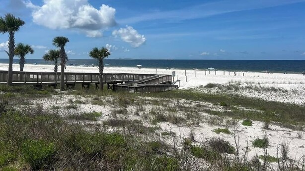 A beach with a wooden boardwalk, palm trees, and a sandy shore. - Welcome to All Gussied Up, Glamping at the Gulf. (Port St. Joe)