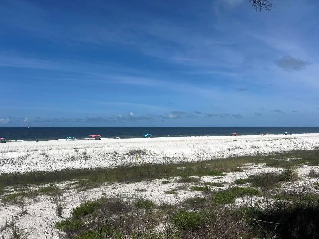 A beach with white sand and sparse vegetation.
