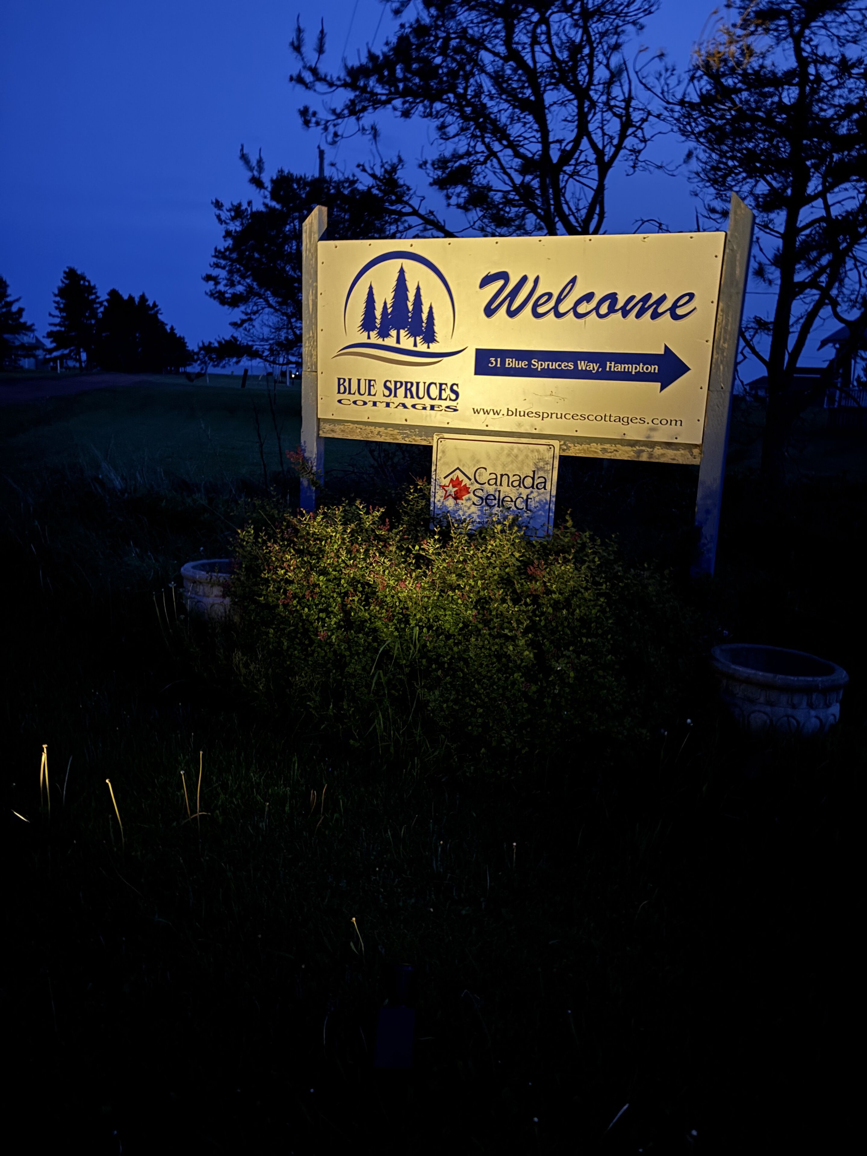 منطقة الاستقبال