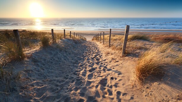 A sandy beach path leading to the ocean with a wooden fence on one side. - Vacation home near the beach and the cities of Amsterdam and Haarlem. (Beverwijk)