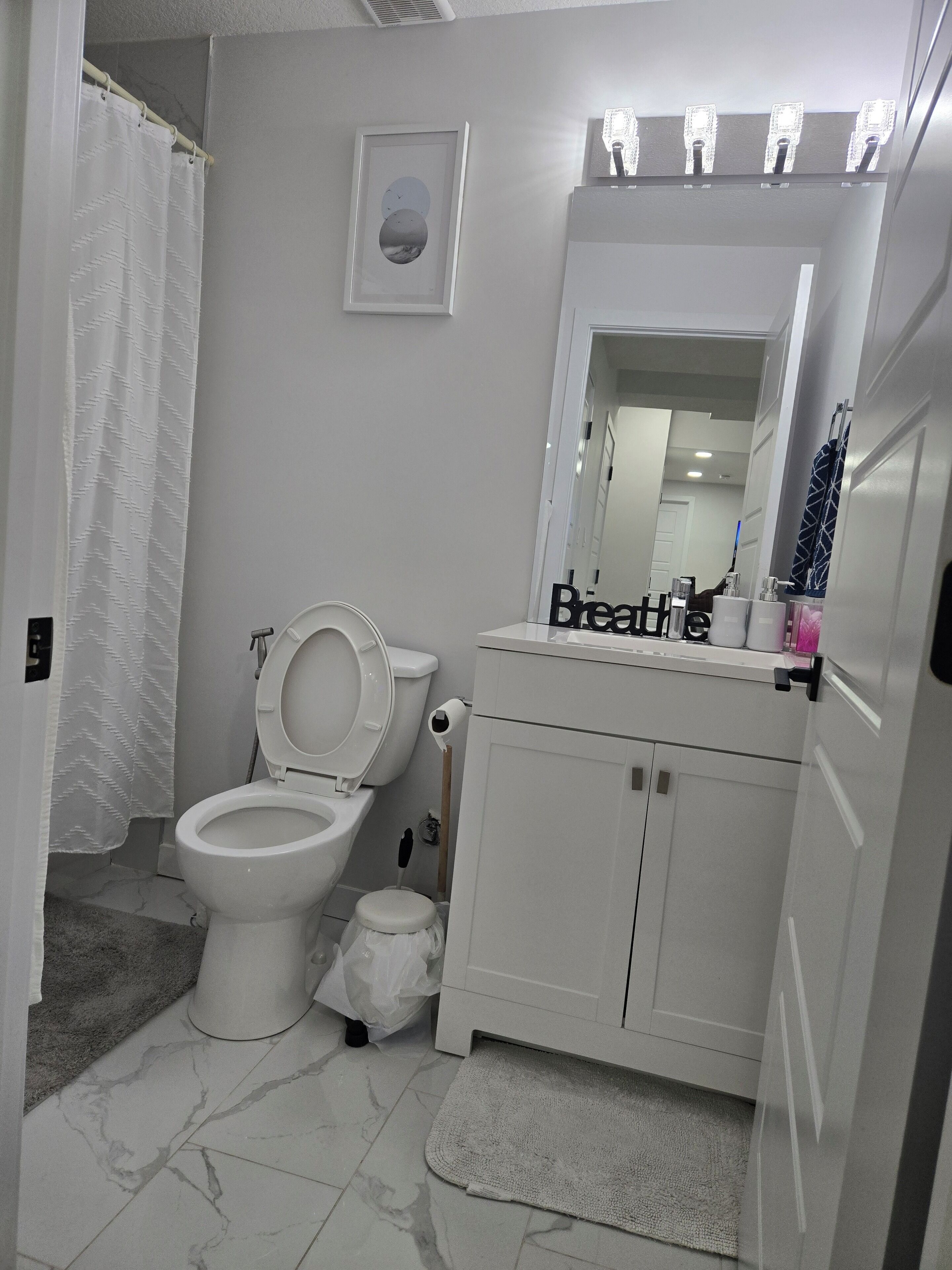A bathroom with a toilet, a sink, a mirror, and a shower curtain.