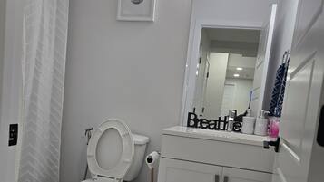 A bathroom with a toilet, a sink, a mirror, and a shower curtain.