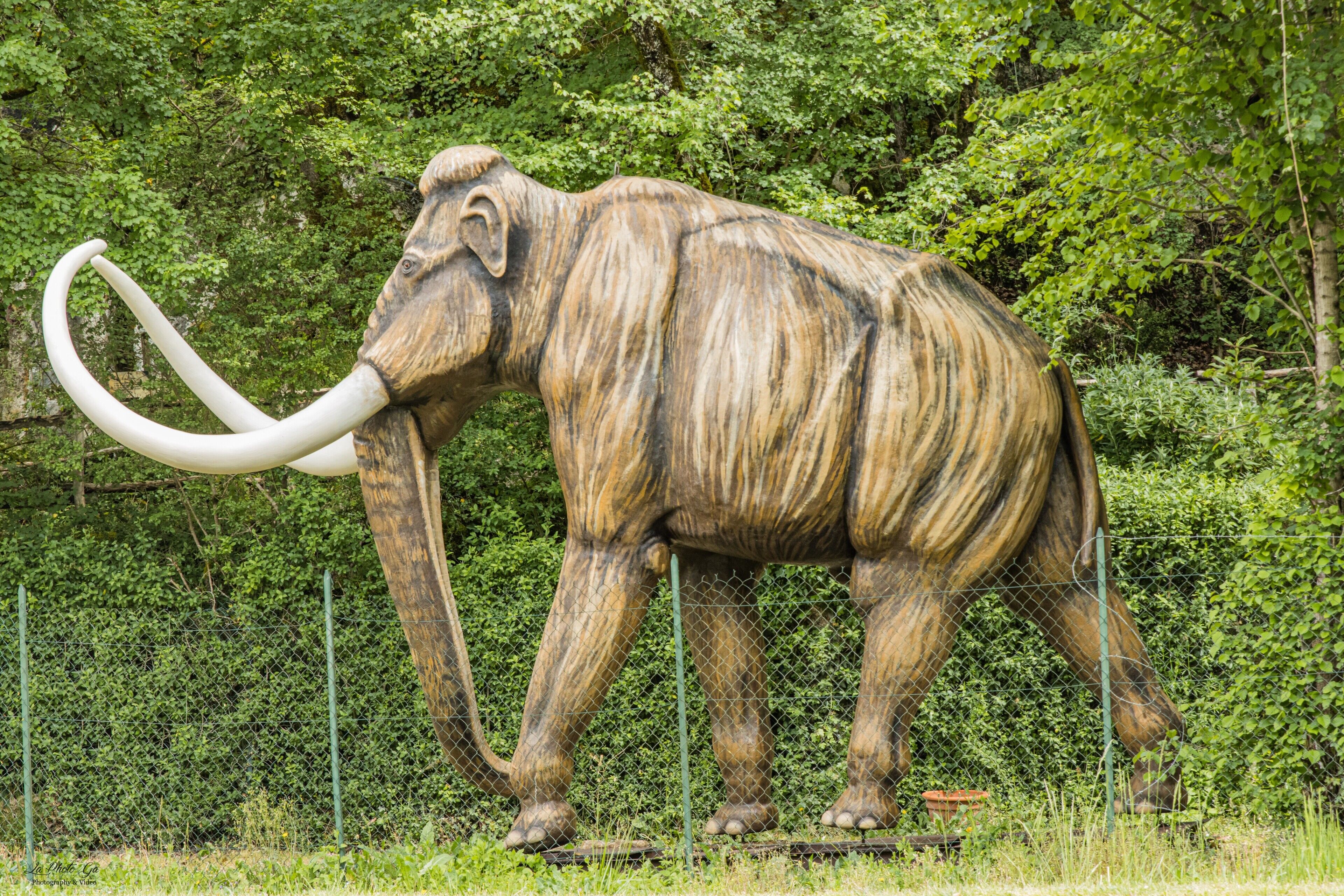 Una estatua grande de elefante con una trompa larga y colmillos, rodeada de follaje y una cerca.