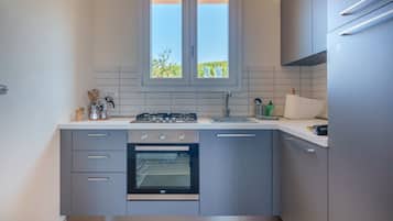 Fridge, oven, stovetop, cookware/dishes/utensils