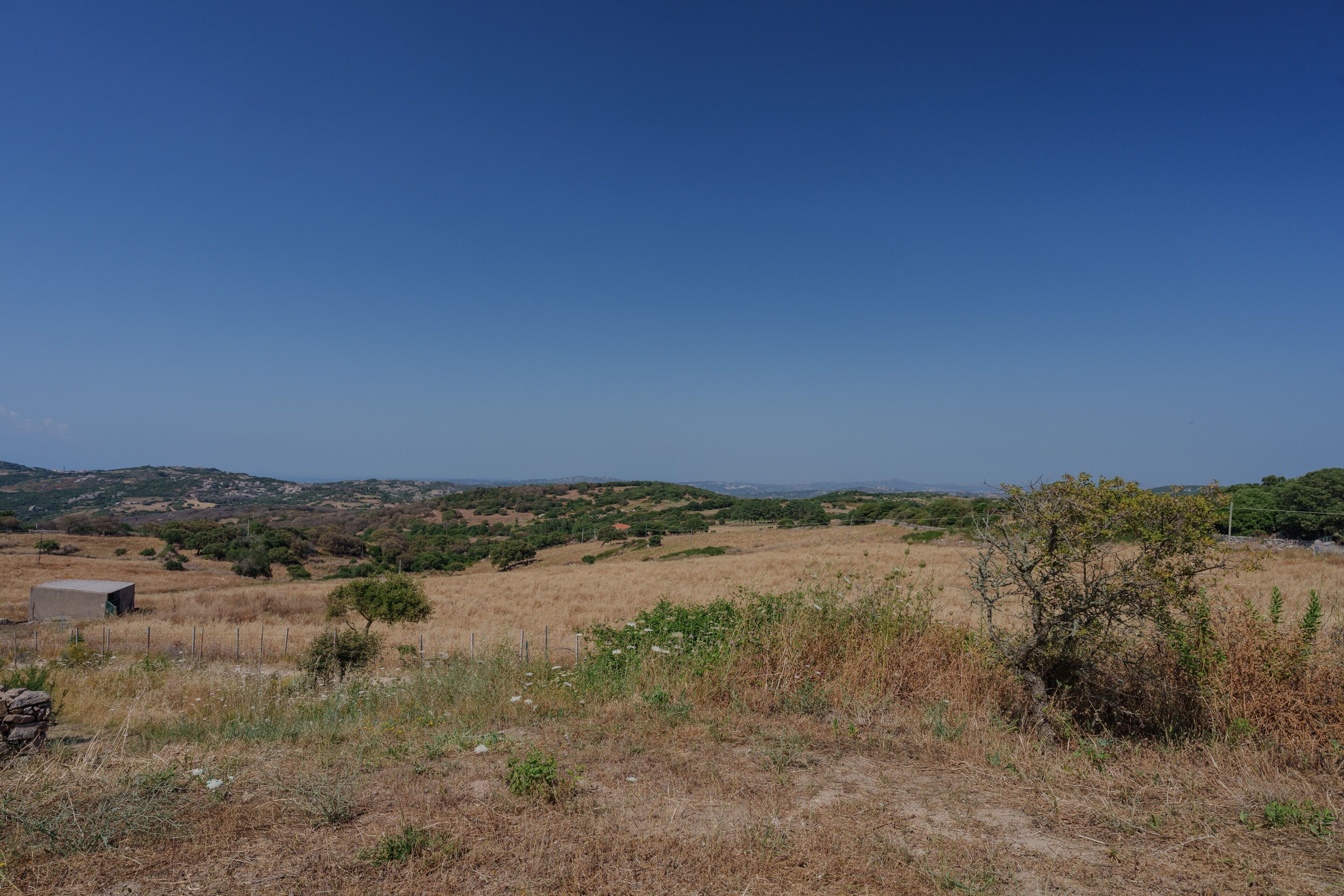 Un paysage rural avec un chemin de terre, une végétation clairsemée et des collines lointaines.