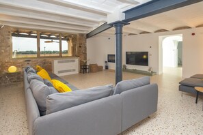 TV, fireplace, table tennis