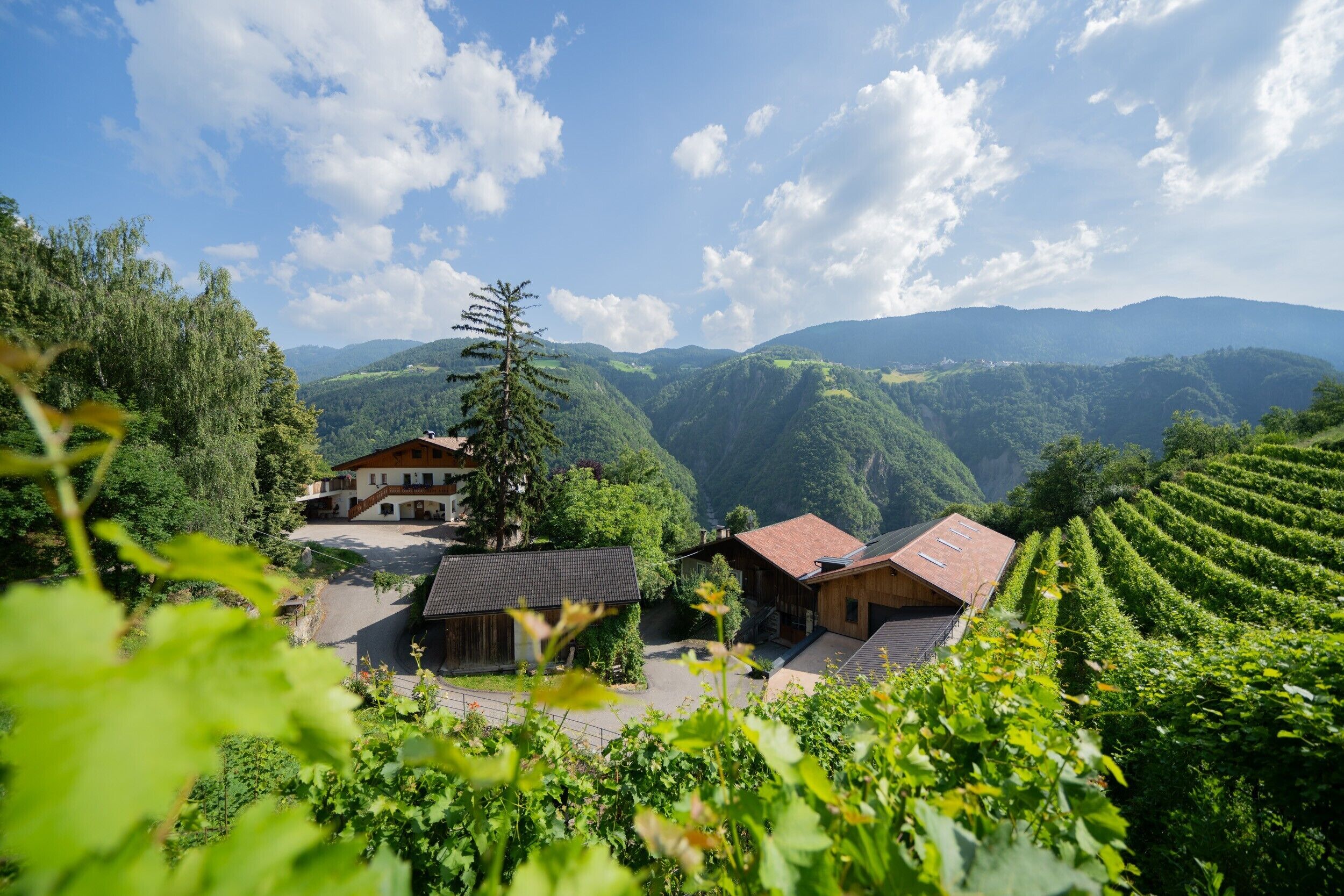 Áreas de la propiedad