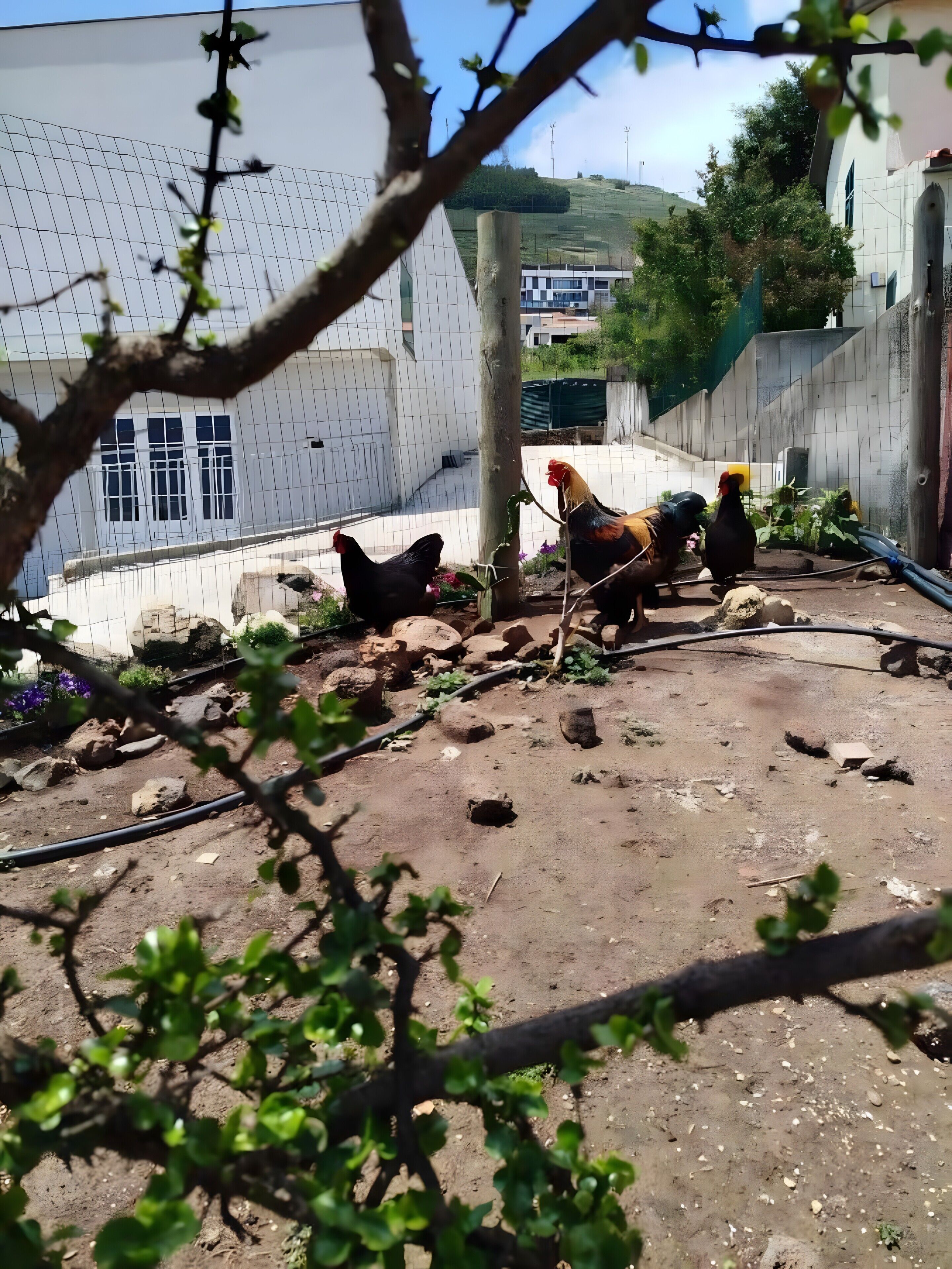 Overnatningsstedets område