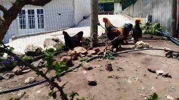 Overnatningsstedets område