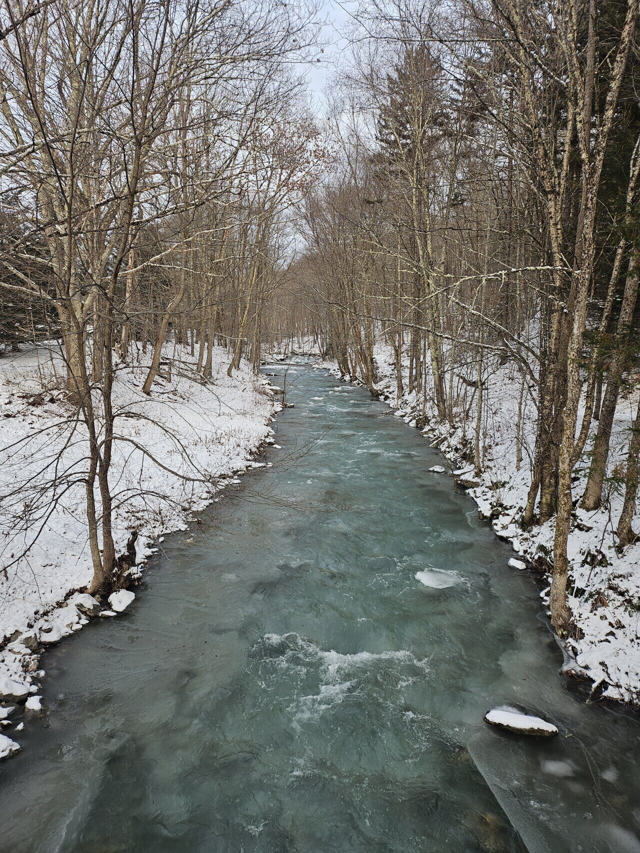 Un río cubierto de nieve que atraviesa un bosque de árboles desnudos.