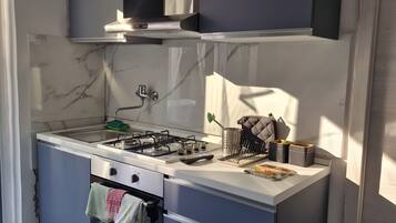 Fridge, oven, stovetop, cookware/dishes/utensils