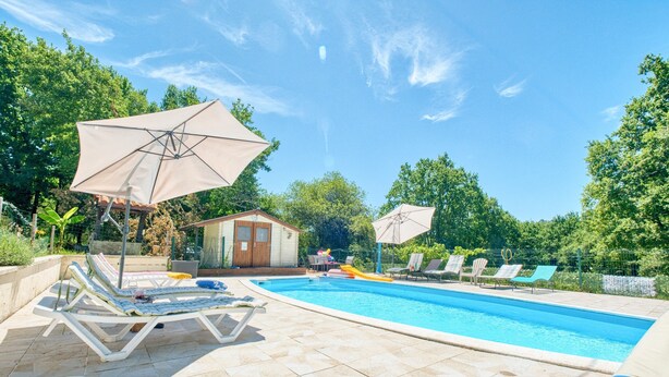 A swimming pool with lounge chairs and umbrellas, surrounded by greenery. - Apartment 'Stag' with Shared Pool, Wi-Fi and Air Conditioning (Bergerac)