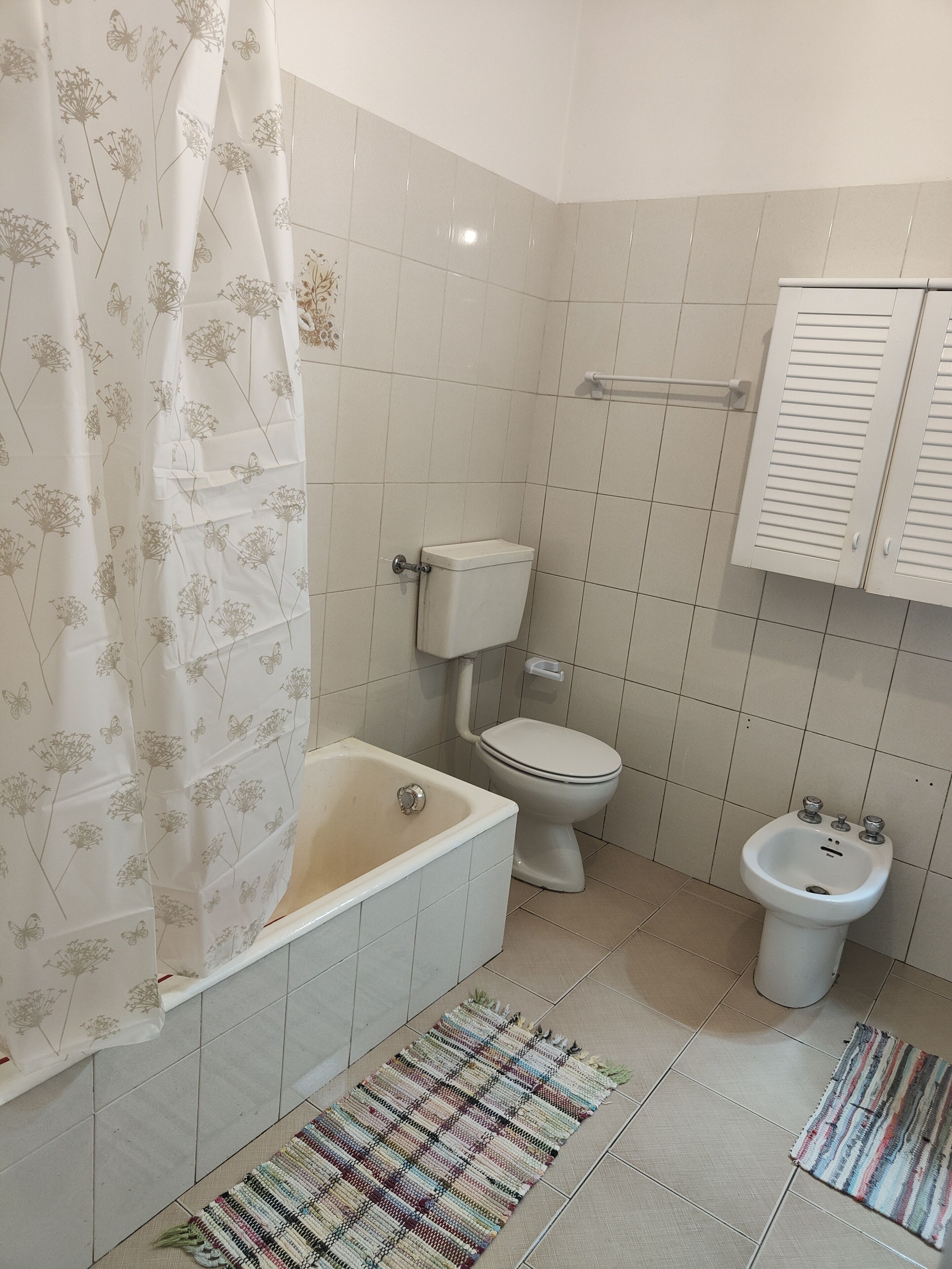 Hair dryer, bidet, towels