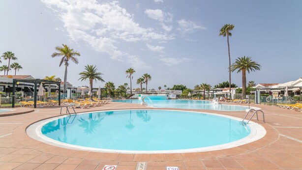 Una gran piscina al aire libre con múltiples carriles, rodeada de palmeras y sillas de descanso.