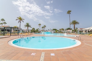 Una grande piscina all'aperto con diverse corsie, circondata da palme e lettini.