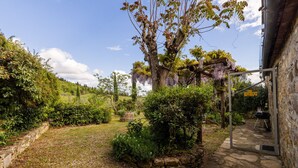 A stone pathway leading to a garden with a pergola, lush greenery, and a large tree.