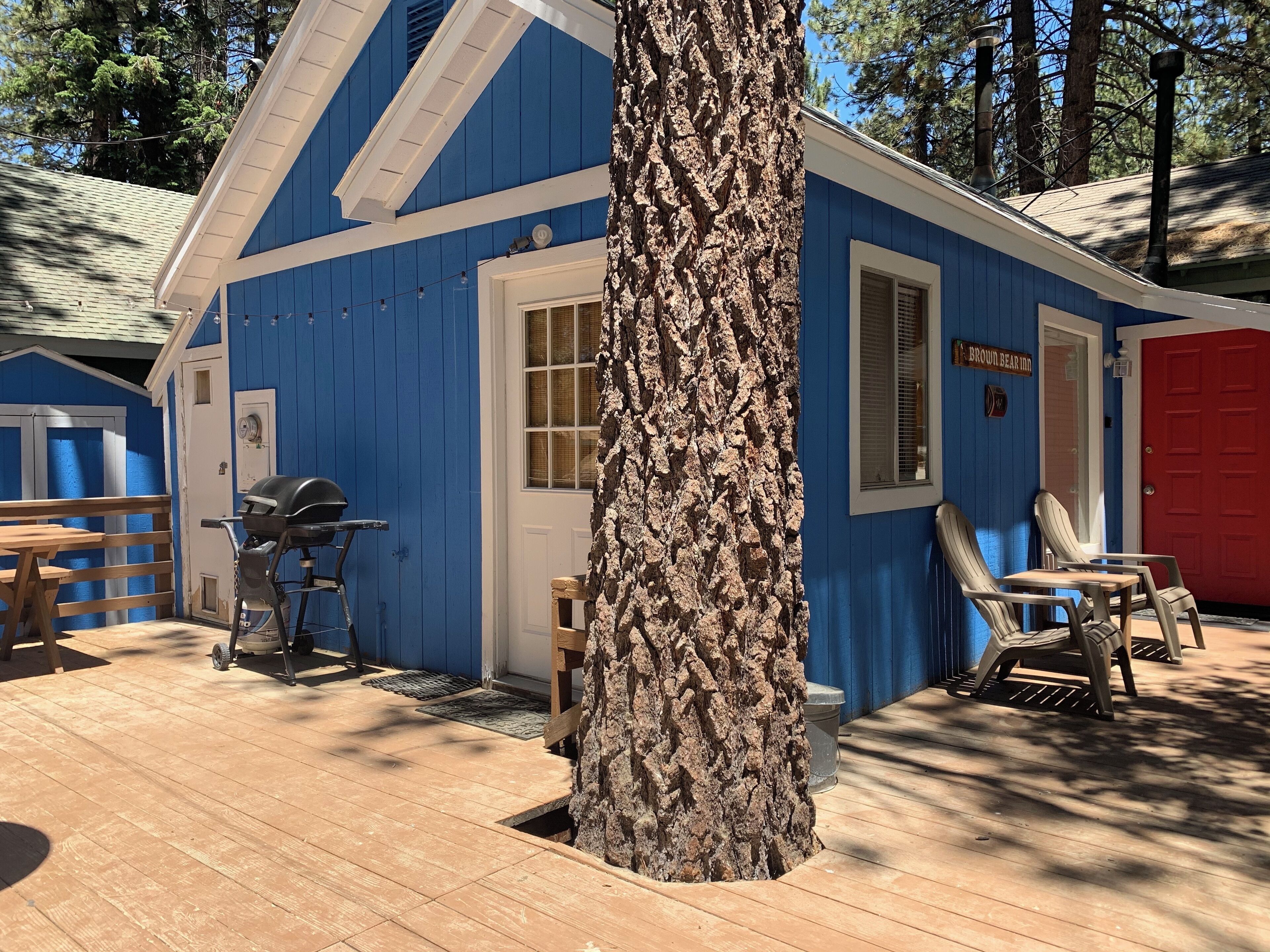 Cabin, Mountain View | Terrace/patio