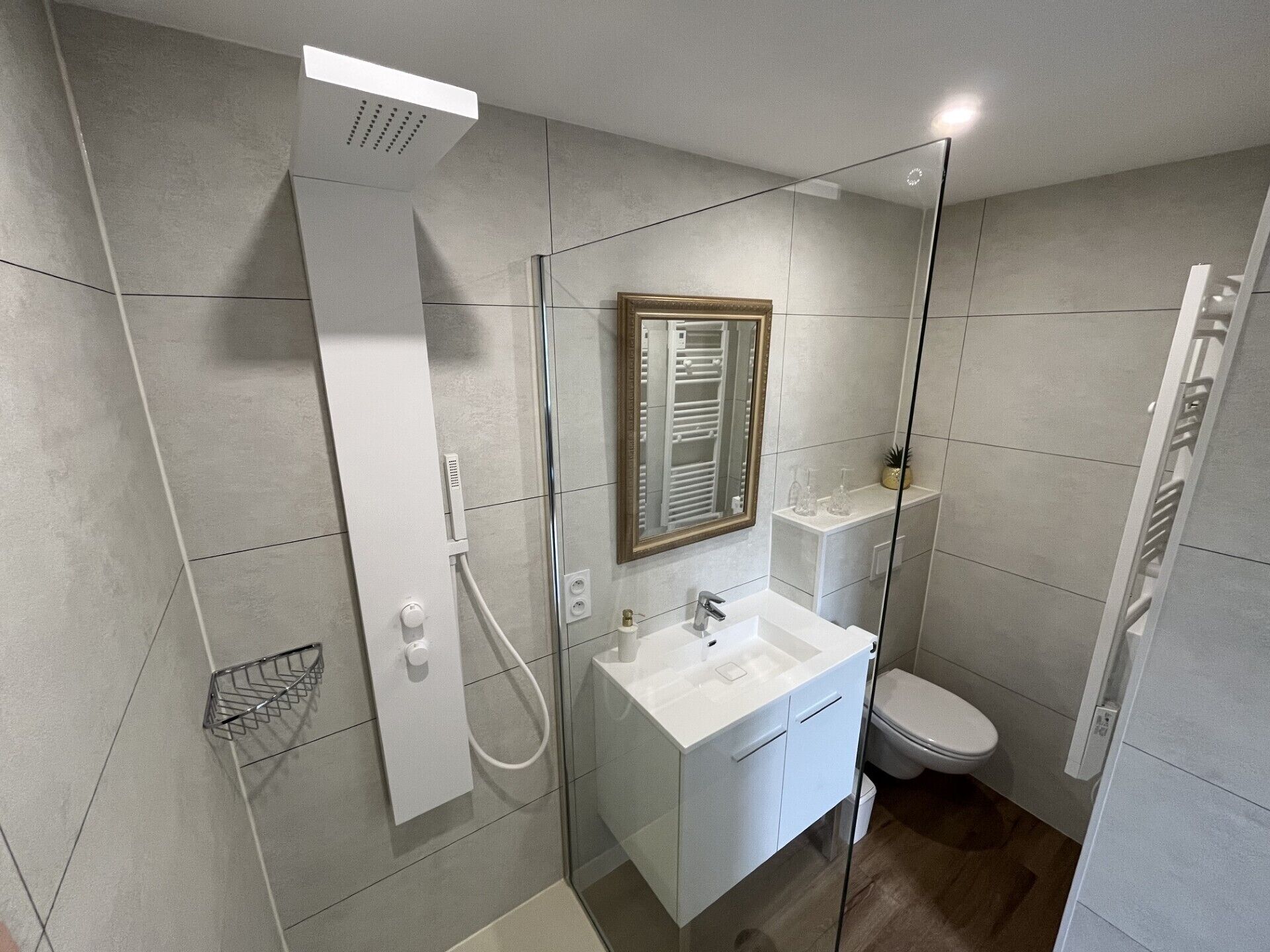 A modern bathroom with a glass shower enclosure, a white sink, and a toilet.