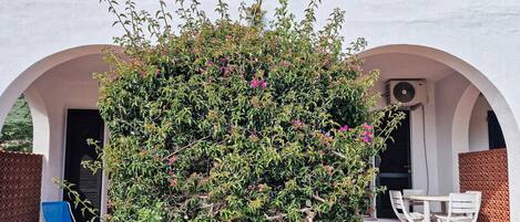 تناول الطعام بالخارج