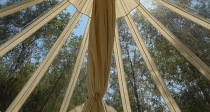 Wandering Willow – Private Stargazing Glamping Tent with Fire Pit & Open Skies