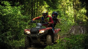Dos personas conduciendo un vehículo todo terreno en un área boscosa.