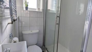 Shower, towels, toilet paper